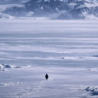 Preston profile picture